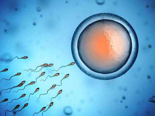 精子成活率低还可以做福州助孕试管婴儿吗？成功率又有多大呢？